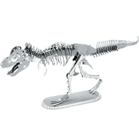 Picture of Tyrannosaurus Rex Skeleton