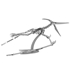 Picture of Pteranodon Skeleton