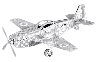 Picture of Mustang P-51