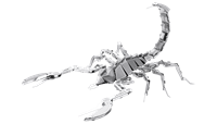 Picture of Scorpion