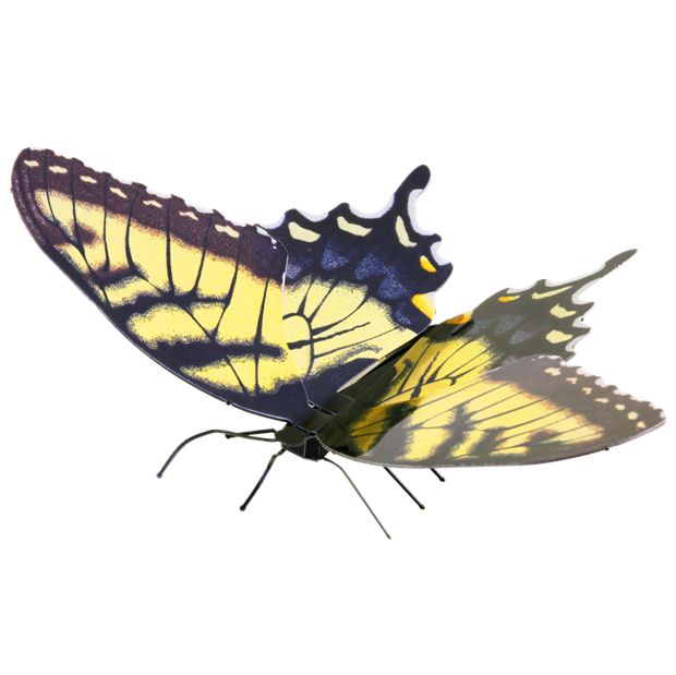 Picture of Tiger Swallowtail
