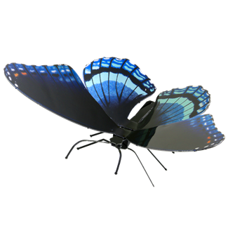Picture of Red Spotted Purple