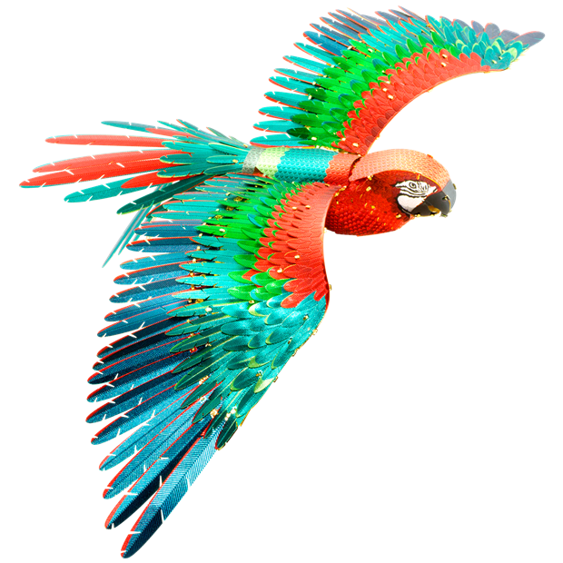 Picture of Premium Series Parrot