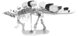 Picture of Stegosaurus Skeleton