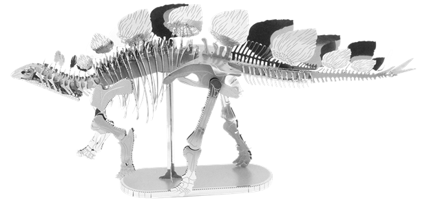 Picture of Stegosaurus Skeleton