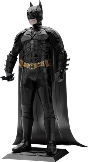 Picture of The Dark Knight™
