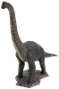 Picture of Brachiosaurus
