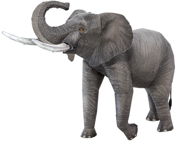 Picture of African Elephant