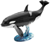 Picture of Orca