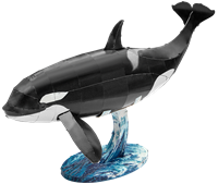 Picture of Orca