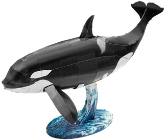 Picture of Orca