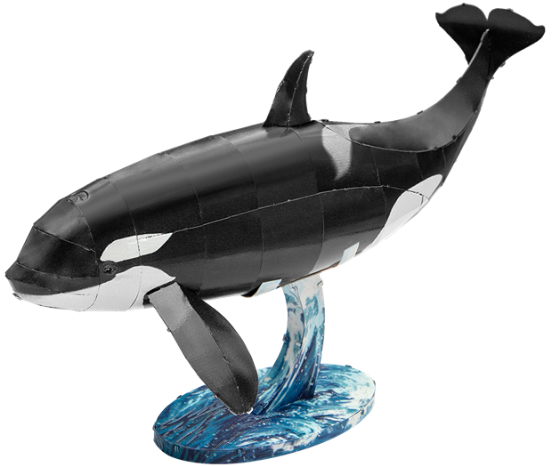 Picture of Orca