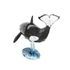 Picture of Orca