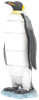 Picture of Emperor Penguin