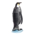 Picture of Emperor Penguin