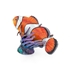 Picture of Clownfish