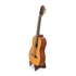 Picture of Classical Guitar