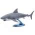 ME1008 - Great White Shark