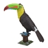ME1020 - Keel-billed Toucan