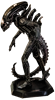 Xenomorph 