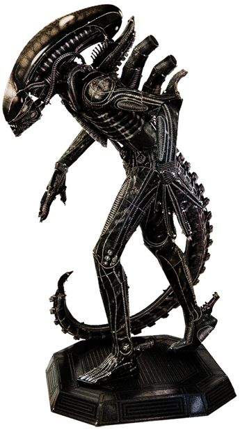 Xenomorph 