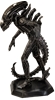 Xenomorph