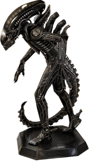 Xenomorph