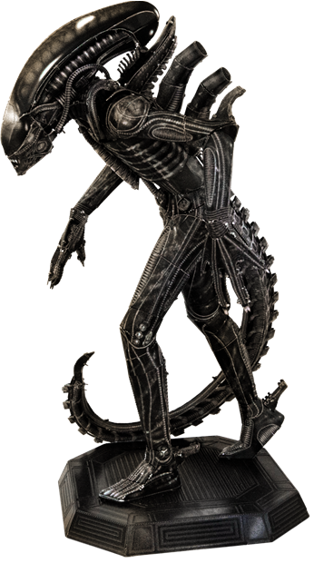 Xenomorph