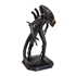 Xenomorph